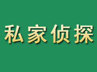 枞阳市私家正规侦探